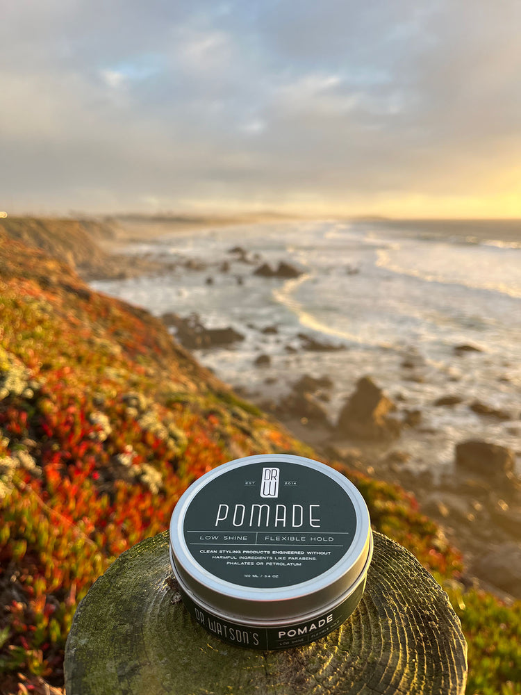 Dr. Watson's pomade overlooking Bodega Bay.