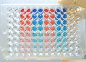 96-well ELISA plate for immunoassay