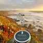 Hair pomade tin with dark green label and silver lid
